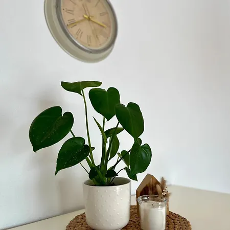 Apartamento Talblick, Naehe Heidelberg *